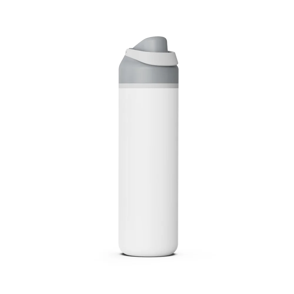 25oz 750ml Stainless Steel Water Bottle with Portable Lid (Grey Lid)
