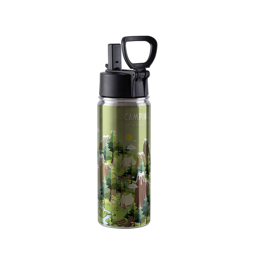 18OZ 550ml Stainless Steel Water Bottle withWide Mouth, Straw & Portable Handle(Silver)