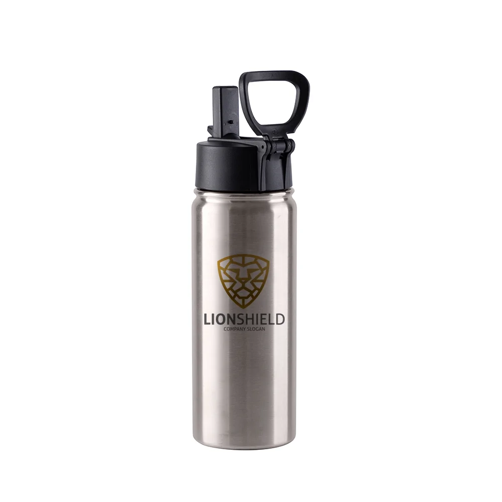 18OZ 550ml Stainless Steel Water Bottle withWide Mouth, Straw & Portable Handle(Silver) thumbnail 3
