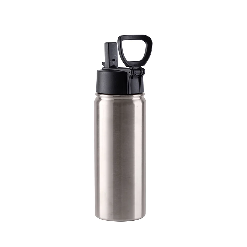 18OZ 550ml Stainless Steel Water Bottle withWide Mouth, Straw & Portable Handle(Silver)
