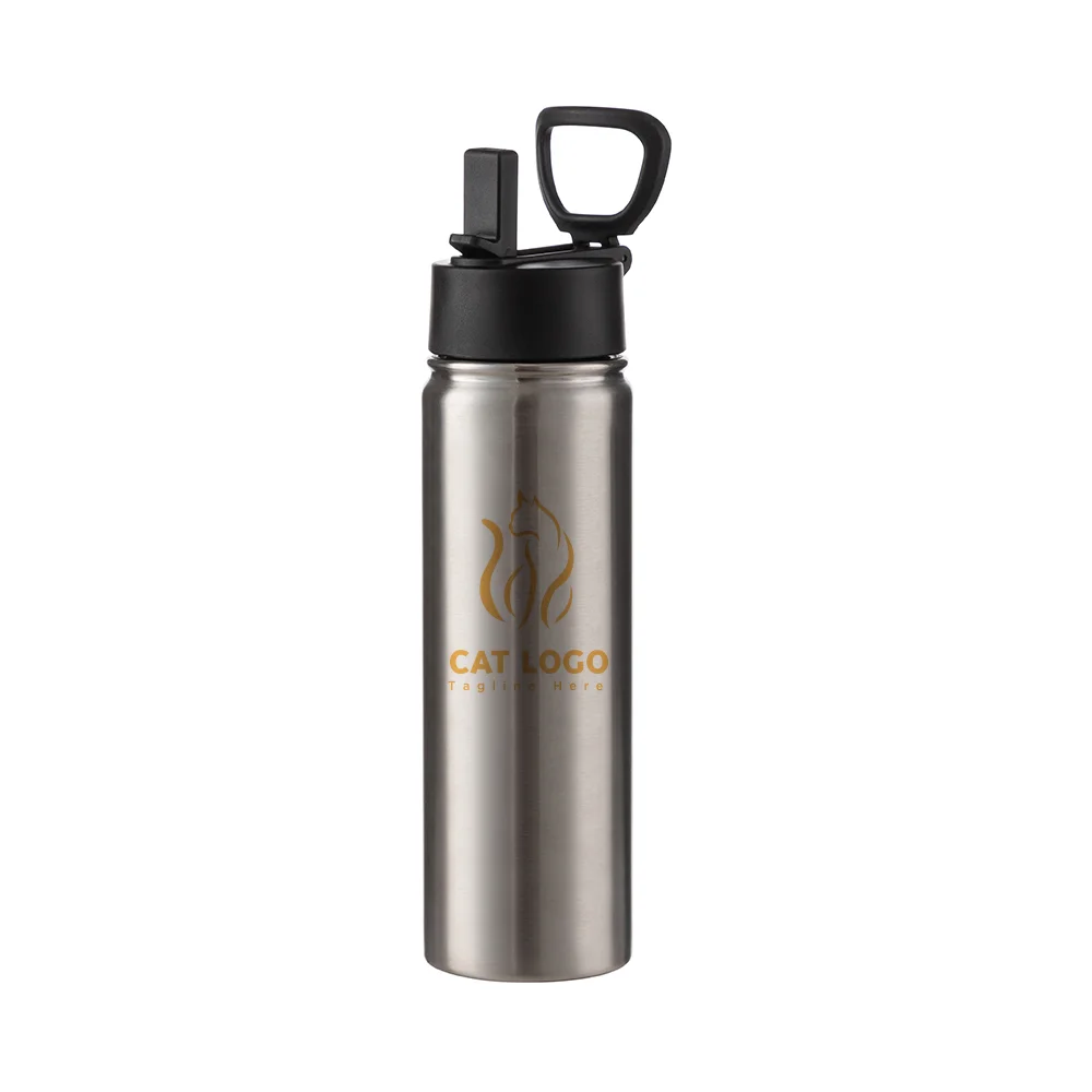 22OZ 650ml Stainless Steel Flask with Wide Mouth, Straw & Portable Handle (Silver) thumbnail 3