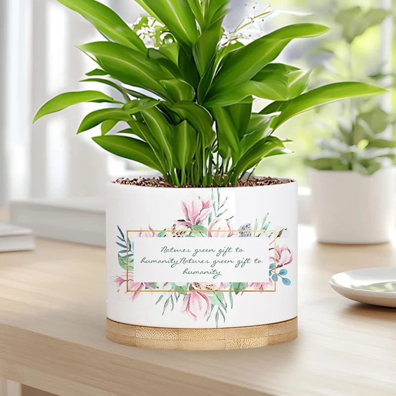 Sublimation Ceramic Garden Planter Pot thumbnail 7