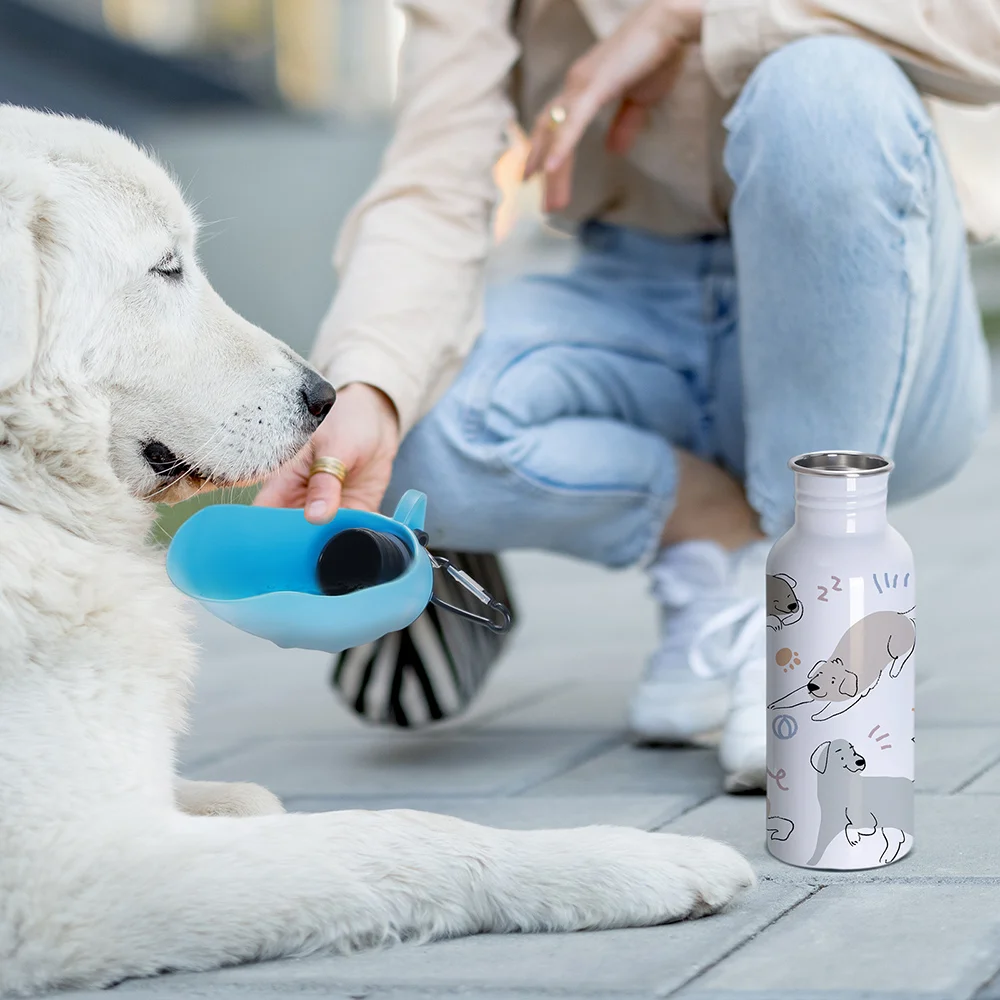 20OZ 600ml White Stainless Steel Pet Travel Bottle with Light Blue Silicon Dispenser & Carabiner thumbnail 3