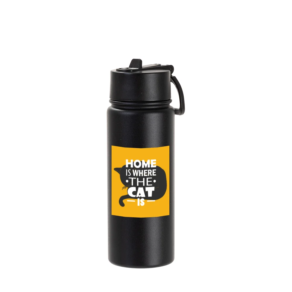 18oz/550ml Stainless Steel Water Bottle w/ Wide Mouth Straw Lid & Rotating Handle (Powder Coated, Black) thumbnail 3